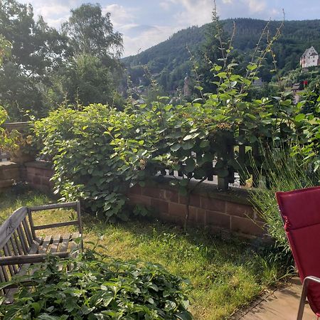 Panorama-Blick Miltenberg, 3 Pers., Zentr., Am Main, Terrasse, Bootverleih, P Exterior foto