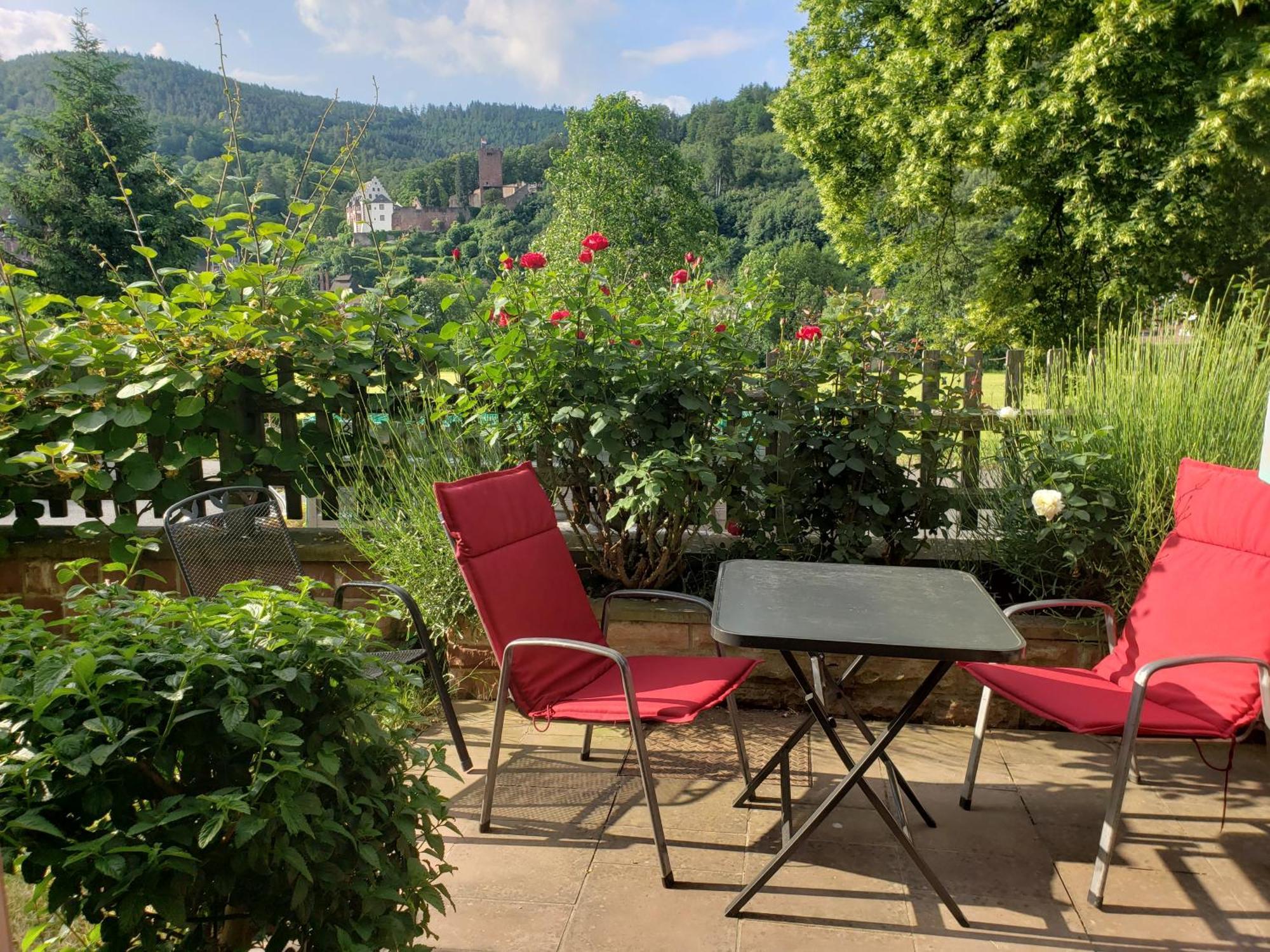 Panorama-Blick Miltenberg, 3 Pers., Zentr., Am Main, Terrasse, Bootverleih, P Exterior foto