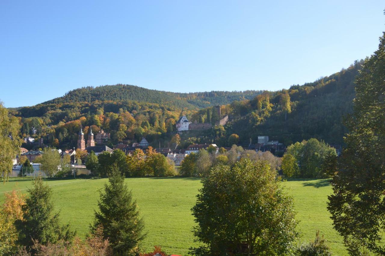 Panorama-Blick Miltenberg, 3 Pers., Zentr., Am Main, Terrasse, Bootverleih, P Exterior foto