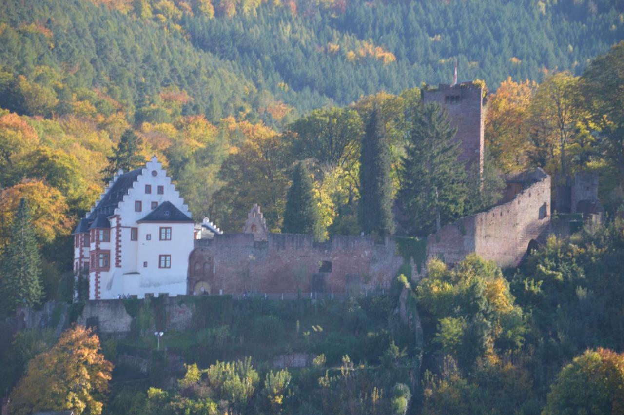 Panorama-Blick Miltenberg, 3 Pers., Zentr., Am Main, Terrasse, Bootverleih, P Exterior foto