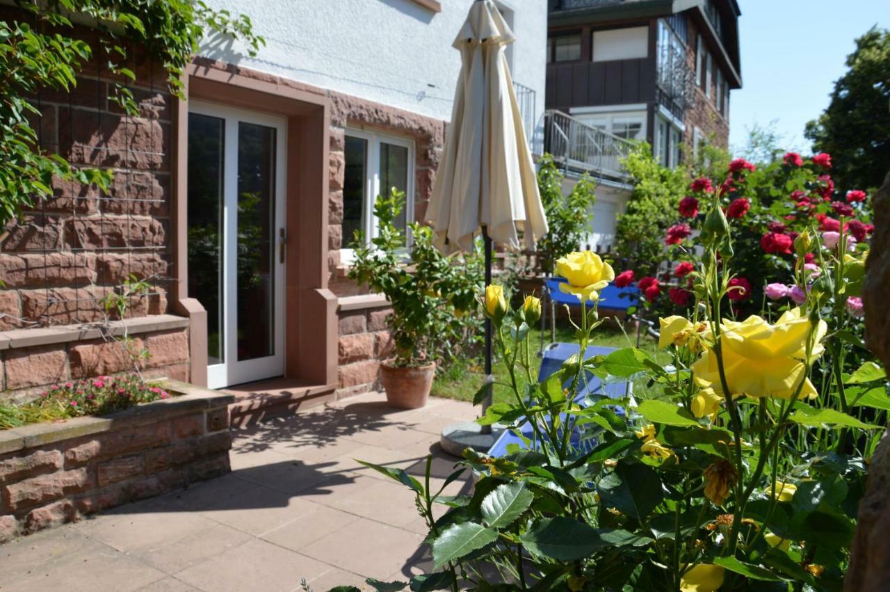 Panorama-Blick Miltenberg, 3 Pers., Zentr., Am Main, Terrasse, Bootverleih, P Exterior foto